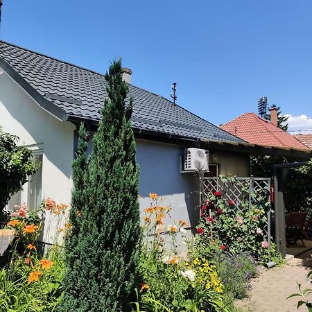 希欧福克Lenart House 1别墅 外观 照片